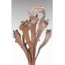 NATRAG 20" Polished-